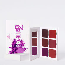 Cargar imagen en el visor de la galería, Paleta de rubor profesional 2

